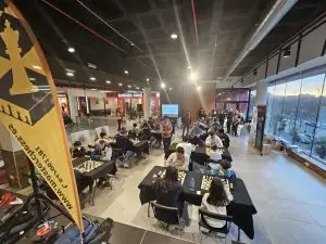 TIC TAC CHESS FAMILY